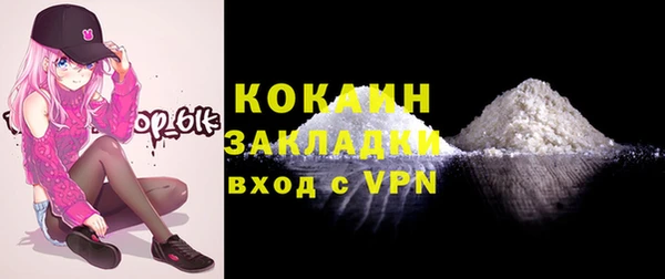 бошки Белокуриха