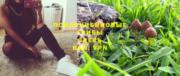 твердый Богородицк