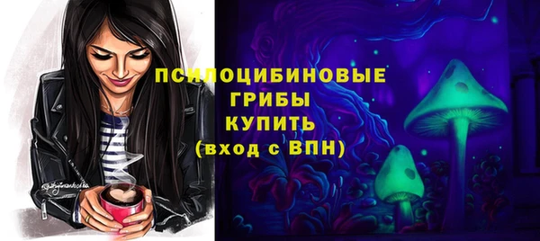 бошки Белокуриха