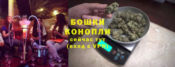 бошки Белокуриха